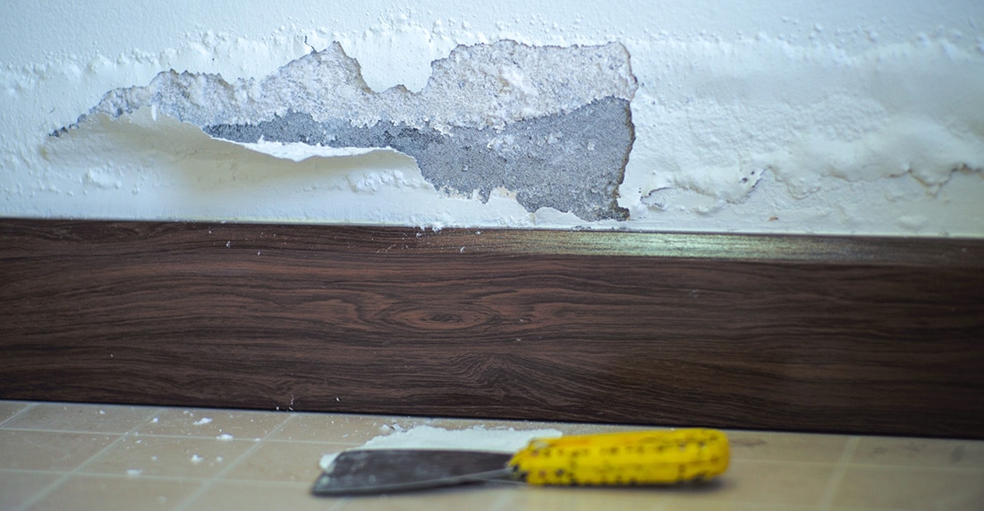 Lead paint peeling off of a wall in a home